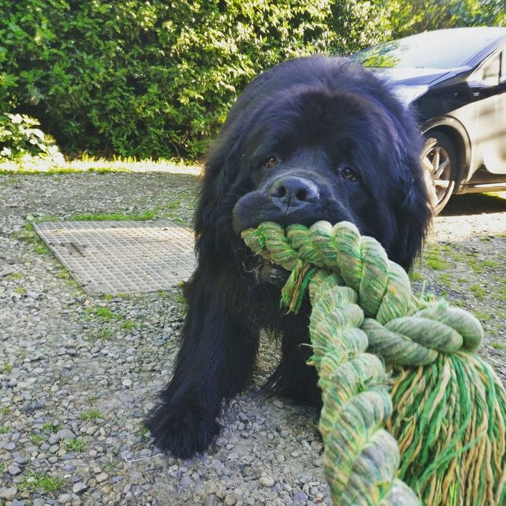 96cdb1519088decccf2a1e3265