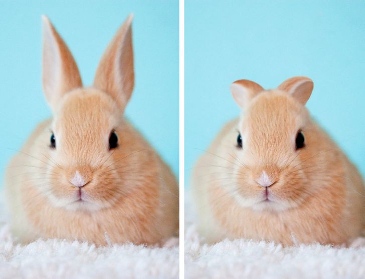 96d7565951afd0519b47a48622