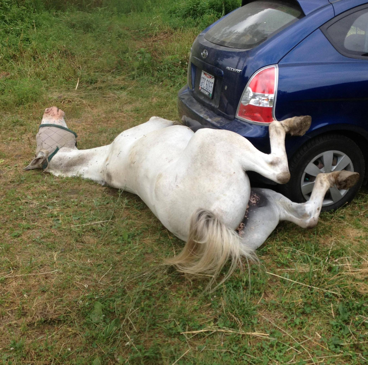 96d88a5734a87b61f16e956780