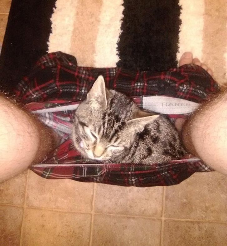 96db5b5965aef1cc96b074b3e8