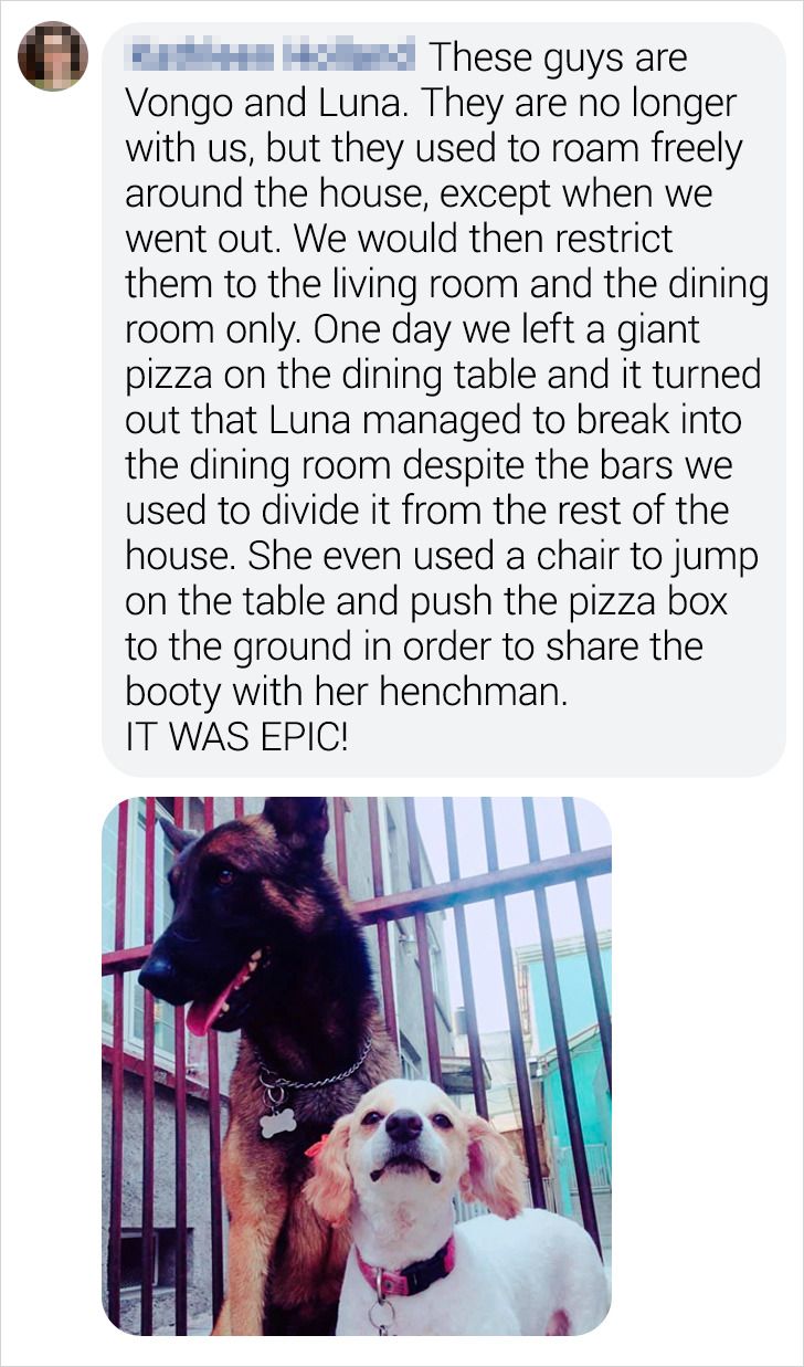 96e2a659648159db4d7c59dce6