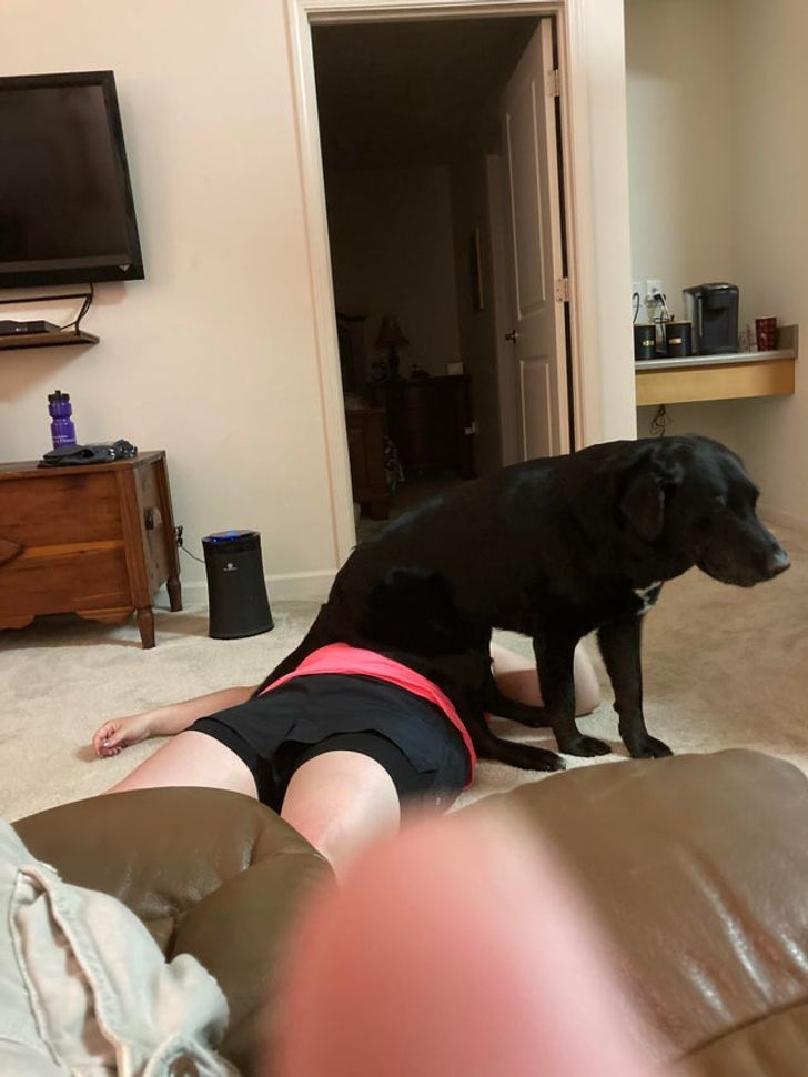 96e4955a838805f268b18a1777