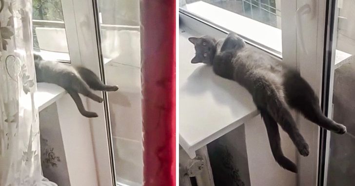 96e49f56f1b728ae888ea83399