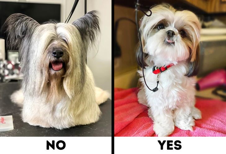 96e4cd55cfbbcdb465a2cfa0f5