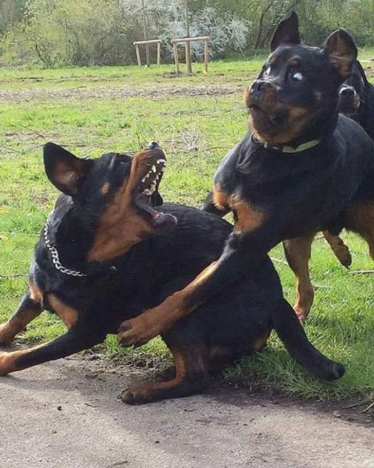 96e7315b259923c29662fb276a