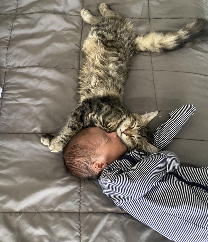 96f0715908ba70e948658e5764 96f0715908ba70e948658e5764