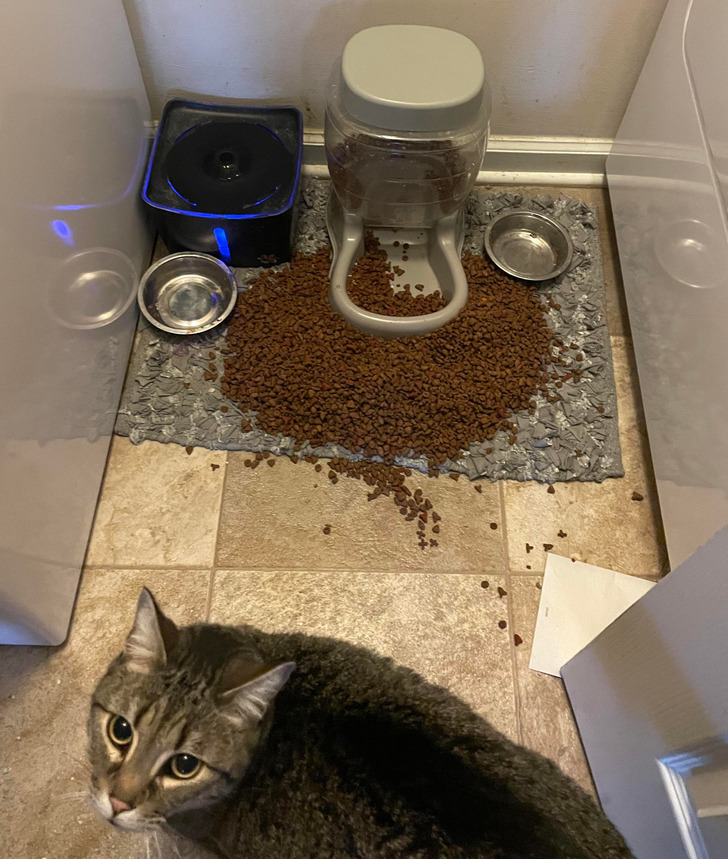 96f3045ec7b496d6b6b9427530