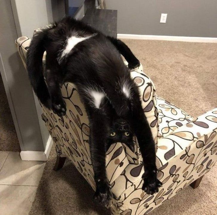 96f58a5bf78b5d3d17bb7e72bd