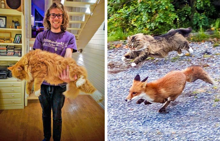 96fb0154c7bae760b0b06b2de7