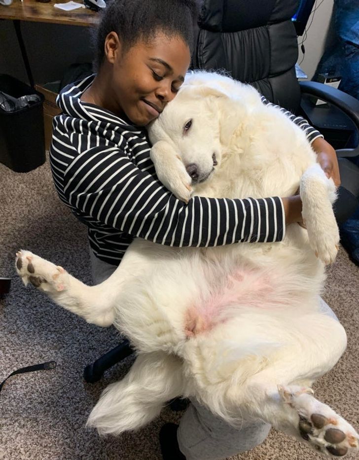 96fb7f5bc699e0ae7dffcd5af7