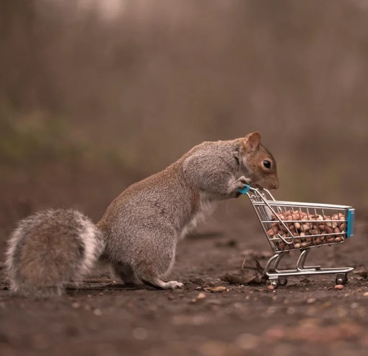 97048a500493d8cd54163777bc