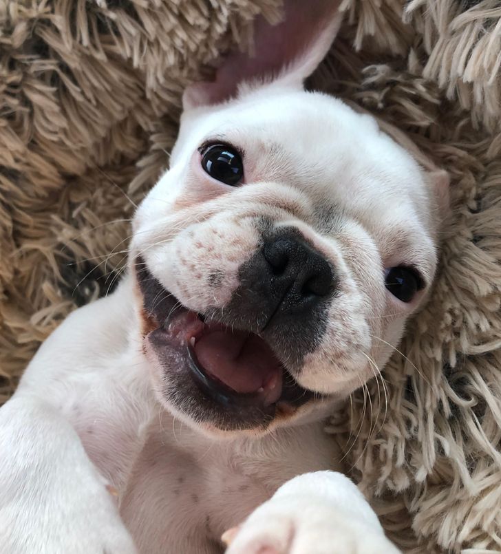 970f1a560f9b8f92dfc192a8ff