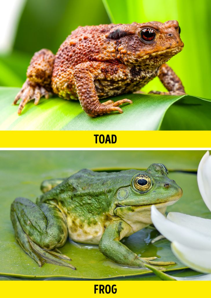 97162d5c14b4c62a17fa6d421e