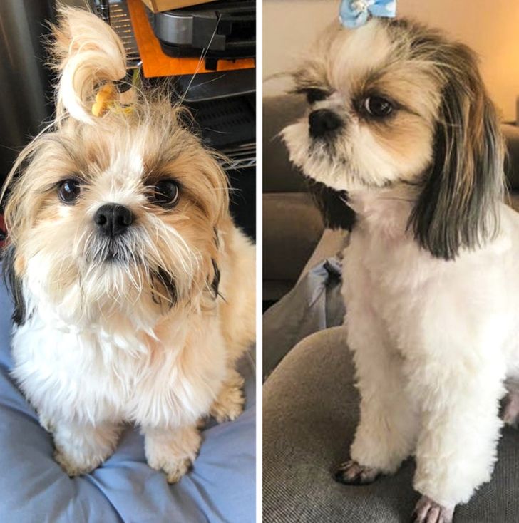 971ba2550da438772e144ef240