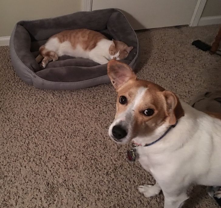 971d295a87b947618982e4fa82