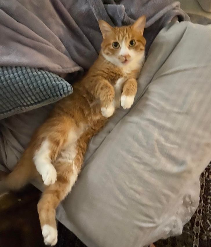 971fd95539abd0dfc62a31301f