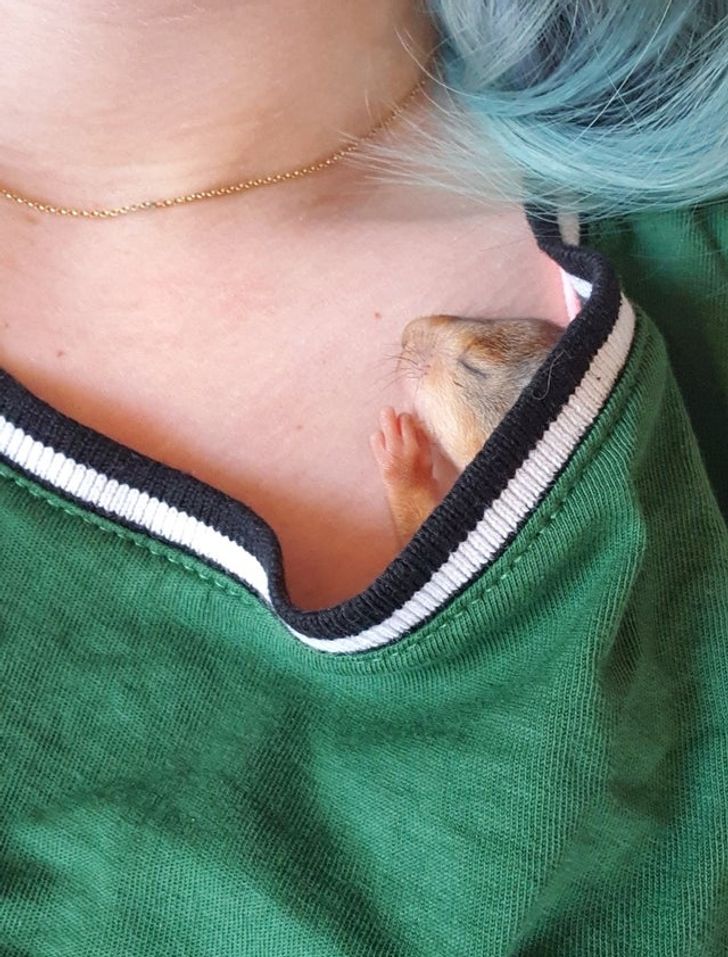 97209a5e1f9a1f45a425151b66