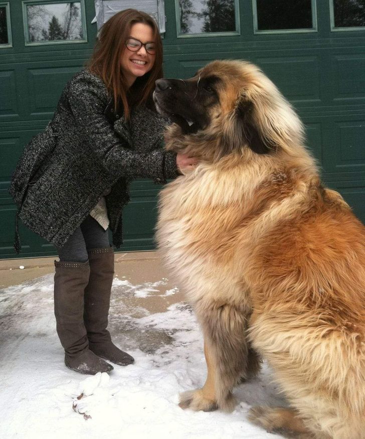 9725625197b104103091d8168f