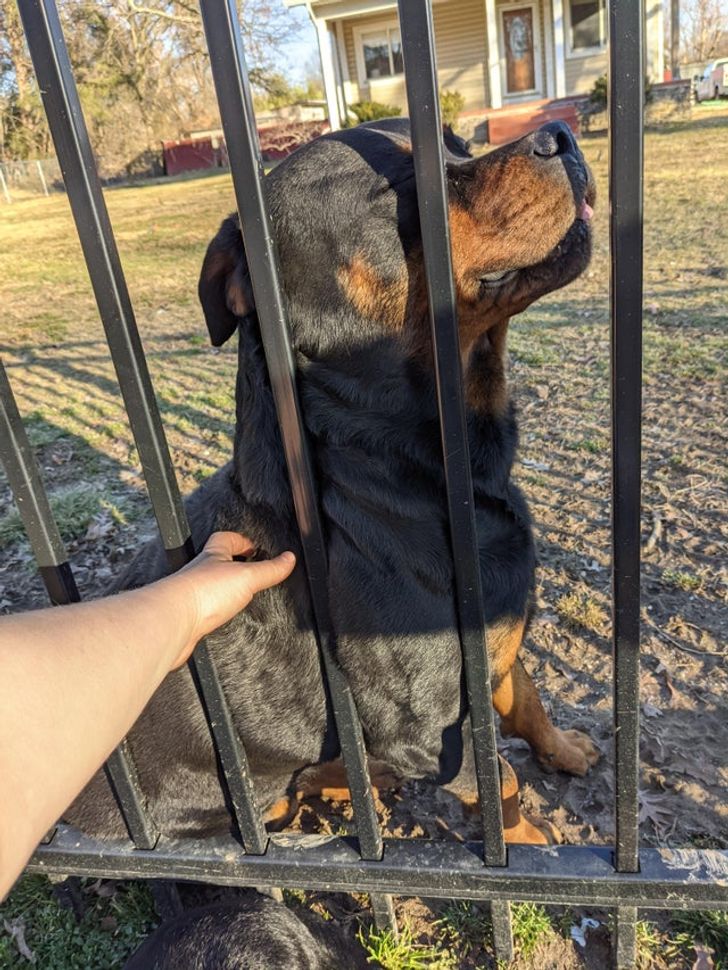 973398507c98e7ba40d711e5e1