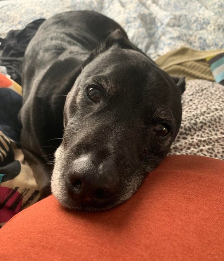 97376d505db75fe8cf4abdff35