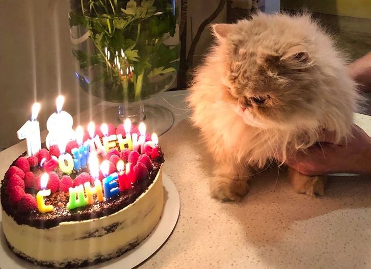 973ed15e82b0b52c2f2879e147