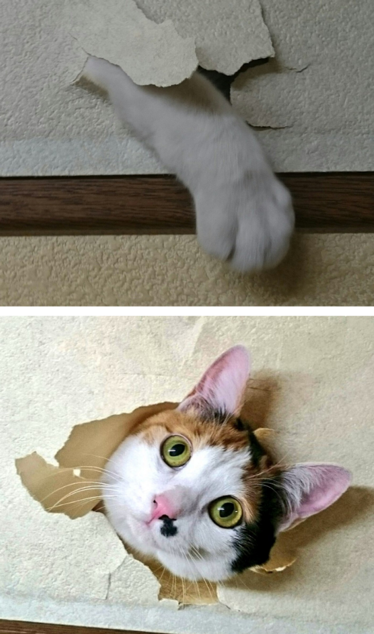 973f7c58e299018276bf0fda2b