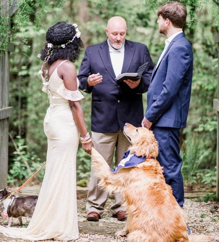 9741735f498d0bcaf53ae04edd