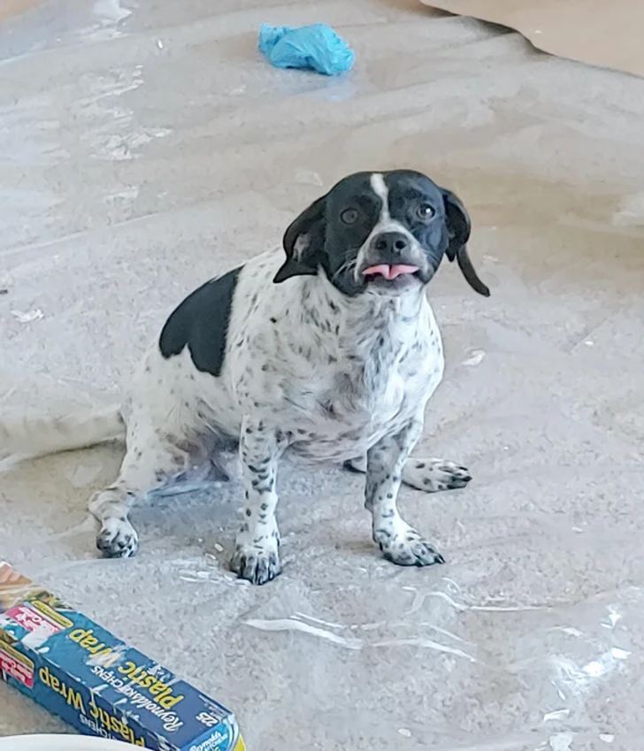 9741a65a3aa483f38b8669b563