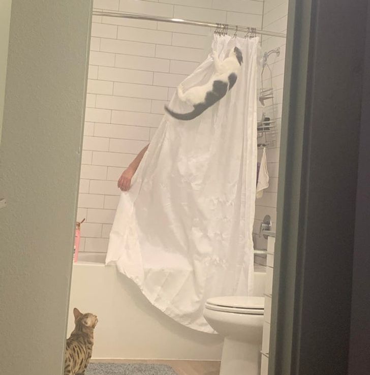 9742805a8c99c636c0905d0e22