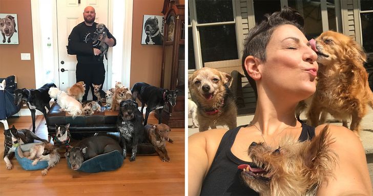 9745f855a296a548b1264bb87d