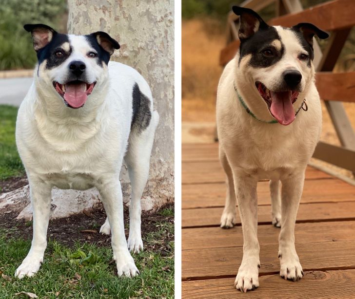 974f1159bcbfad63da6aca6169