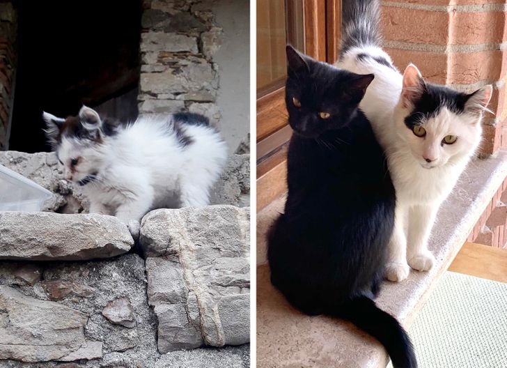 9763725e74ad5137e1eb2c658f