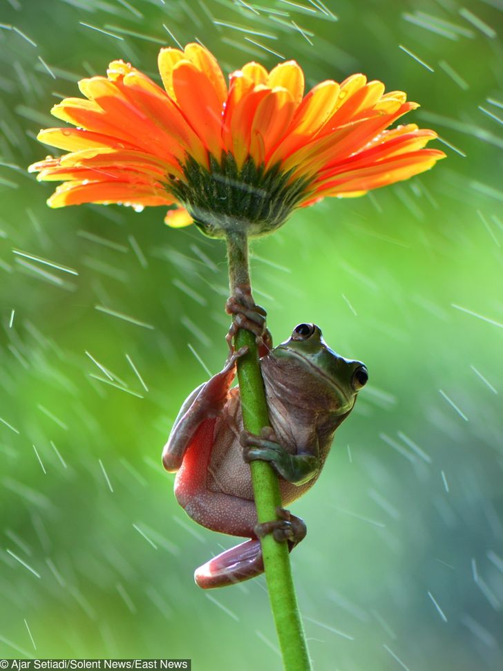 9765145ff5b3128a0df263ddf1