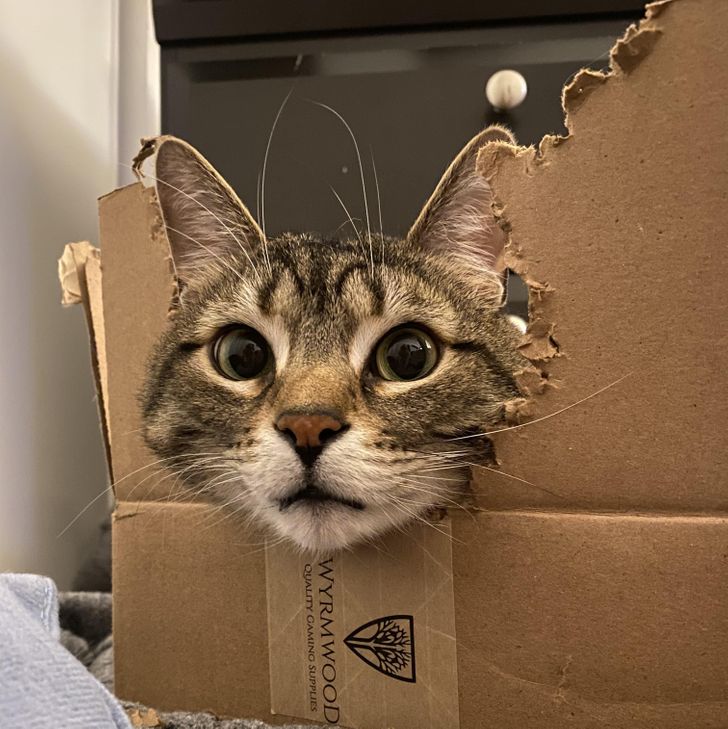 976d5652b4a3e7aaac08836f71