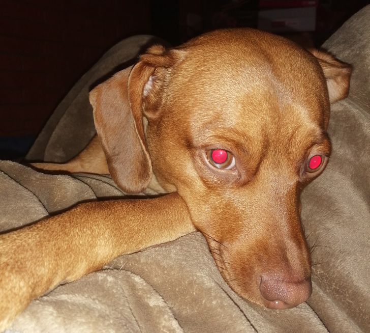 9770945f29b879e51d46b847ca