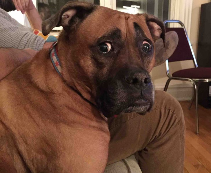 977cbd5e4ebbccd5fb8c4e9387