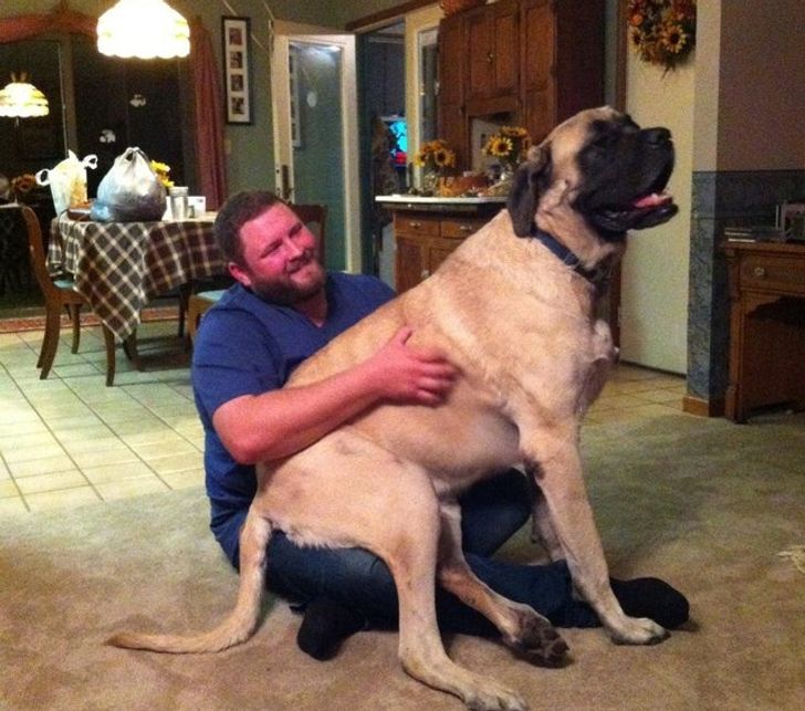 9783eb5bf0b22ada33eecee9cf