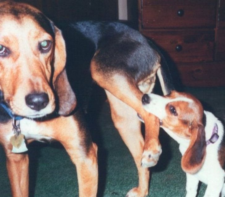 9786b45bf9b705b30962882748