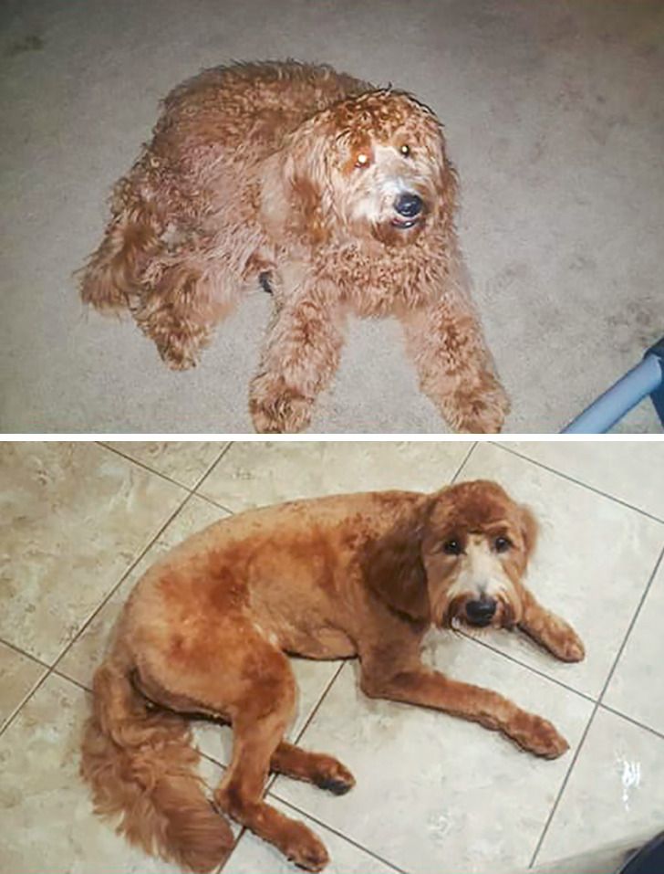 9792a45482b7b83d763d9b6611