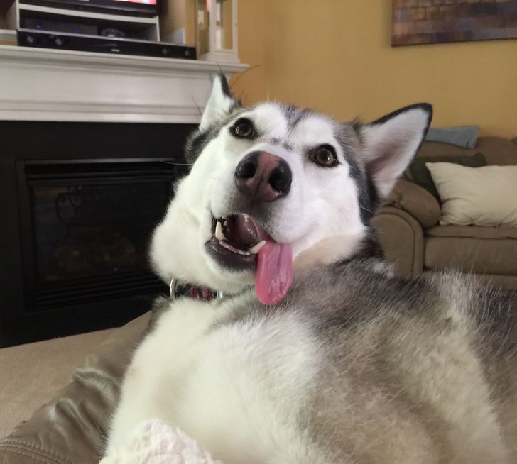 9792b25ef0a02f85cf0c17d32a