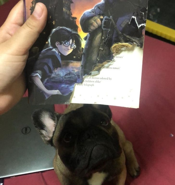 9796ea51d1951d23be22525a11