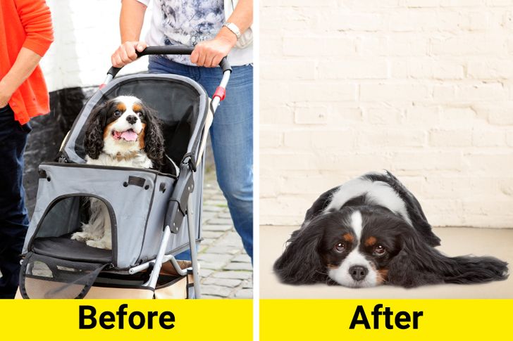 979e275849b68ce1c66c91d79f