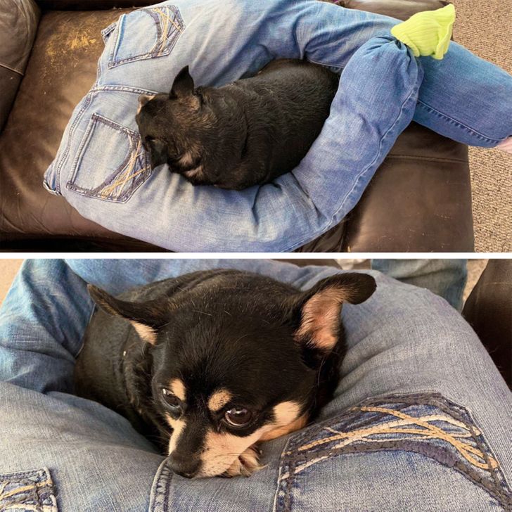 97a38d5f6bada7f0a819308e9c