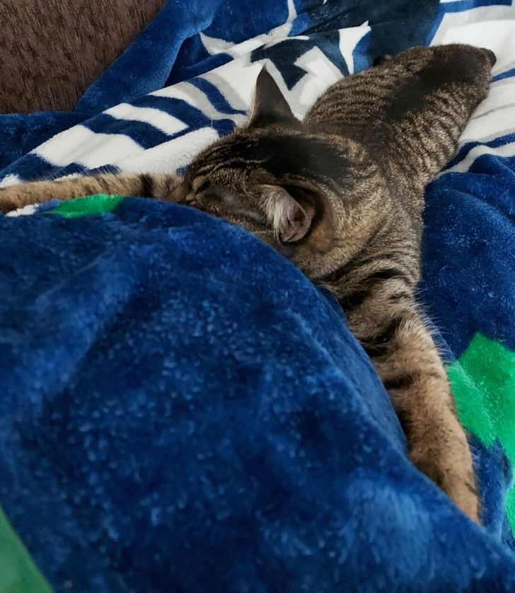 97a792548cba757dad1e81cd86