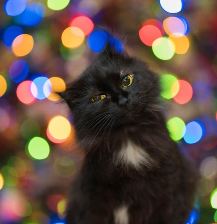 97aaa1593e93559ab2d9842946