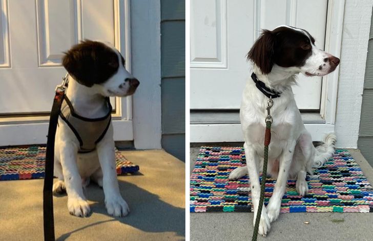 97aec8500d89d6adc3ba500de4