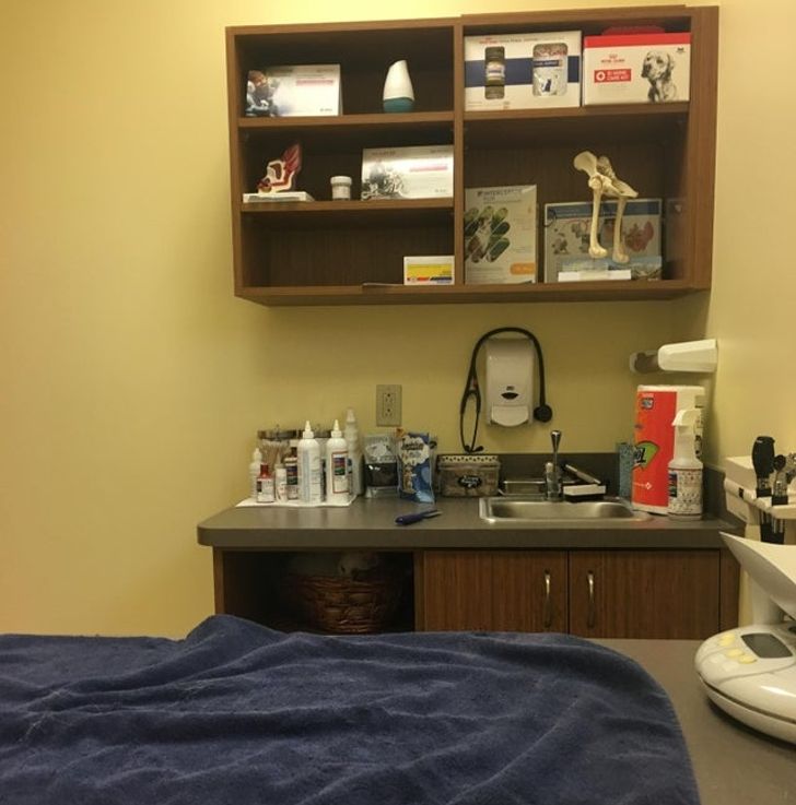 97b2d65997bc7b32b66415998b