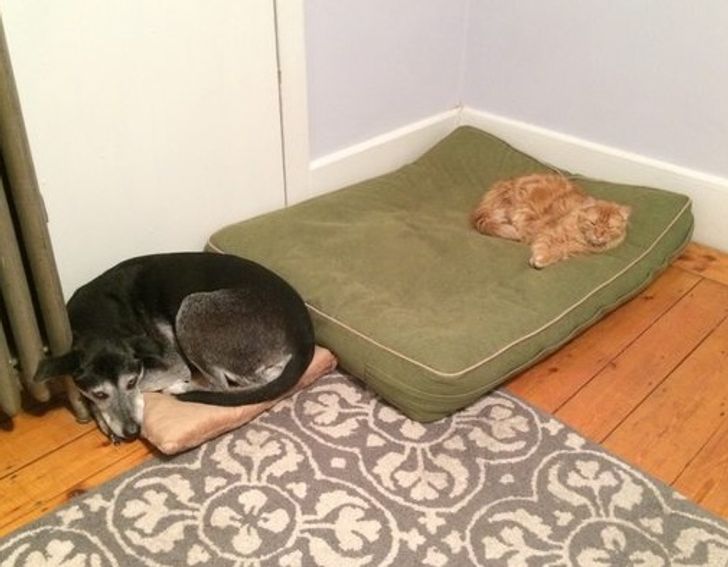 97b55b5266b493bf0934924142