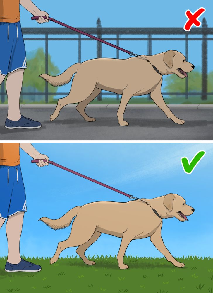 97b84c5eb68d8f1acea4820c92