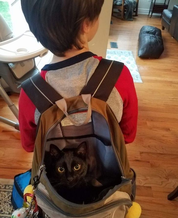 97c2fb5ca5bbd9cdb98c016424